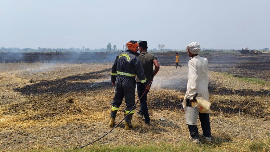 Gonda : पराली की आग ने धारण किया विकराल रूप, कड़ी मशक्कत के बाद दमकल कर्मियों ने फसल को बचाया