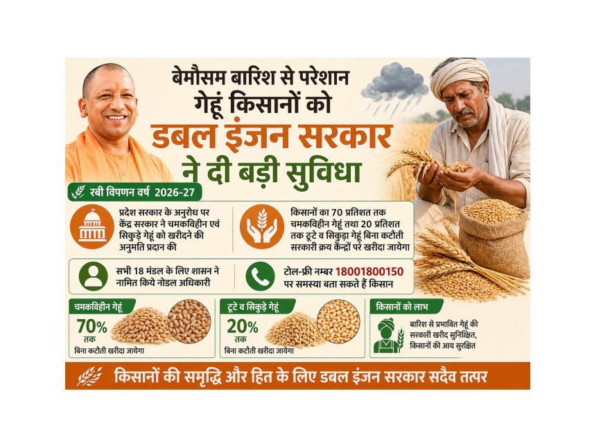 Lucknow : खराब मौसम की मार झेल रहे किसानों को सरकार की बड़ी राहत, बिना कटौती खरीदा जाएगा चमकविहीन और सिकुड़ा गेहूं