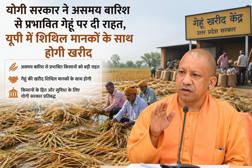 योगी सरकार ने असमय बारिश से प्रभावित गेहूं पर दी राहत, यूपी में शिथिल मानकों के साथ होगी खरीद।