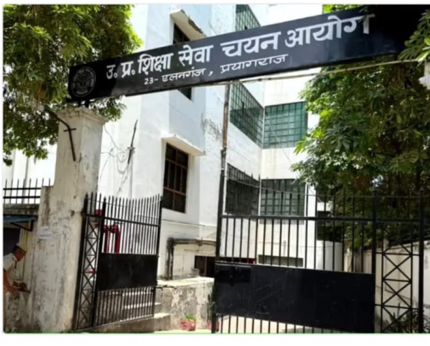 Prayagraj : इंटर पास शिक्षकों के लिए यूपीटीईटी 2026 में आवेदन का रास्ता साफ, चयन आयोग ने पोर्टल पर दिया नया विकल्प