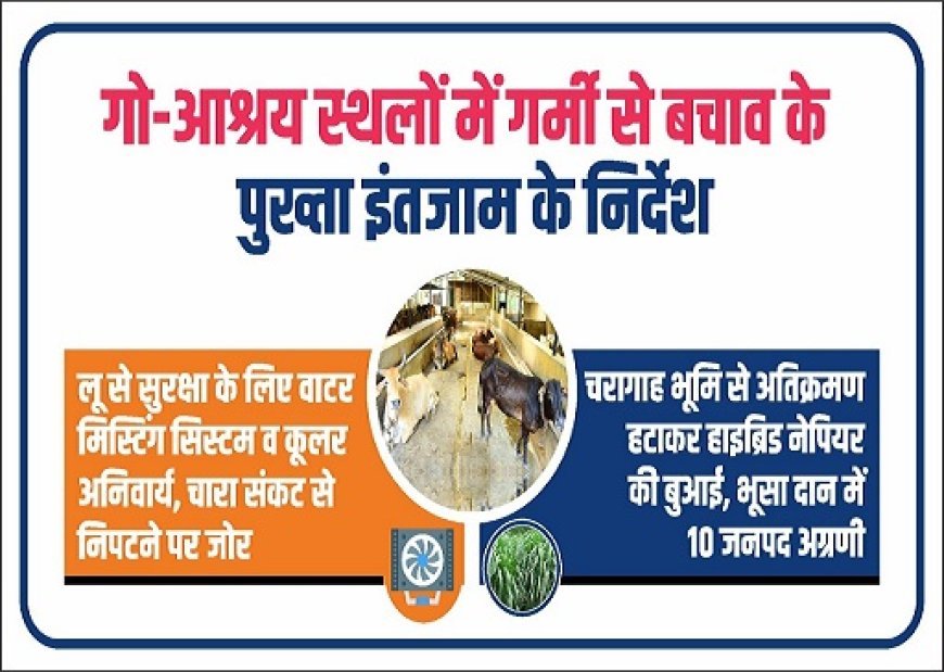Lucknow: गो आश्रय स्थलों में हीट एक्शन प्लान लागू: मिस्टिंग सिस्टम, कूलर अनिवार्य; चारा प्रबंधन पर सख्त निर्देश। 