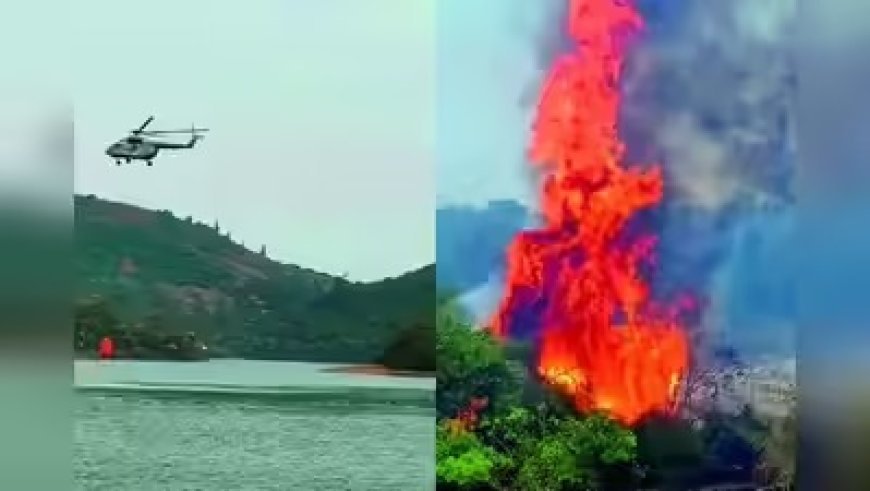 नीलगिरी के जंगलों में 10 दिनों से धधक रही भीषण आग, 5000 एकड़ वन क्षेत्र हुआ खाक, वन्यजीवों पर मंडराया संकट