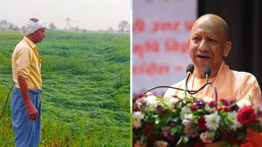 Lucknow : मुख्यमंत्री योगी आदित्यनाथ ने बेमौसम बारिश और ओलावृष्टि से प्रभावित किसानों को दी बड़ी राहत