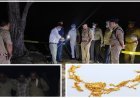 Hardoi: हरदोई में पुलिस का एक्शन मोड: एनकाउंटर के बाद लूट गैंग का पर्दाफाश, 4 गिरफ्तार। 