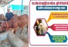 Lucknow: मिनी नंदिनी योजना का कमाल: गांवों में बैठकर युवा कमा रहे 10–12 लाख सालाना।