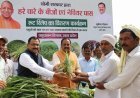 योगी सरकार का बड़ा कदम: किसानों और पशुपालकों को मिलेगा सालभर हरा चारा।