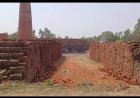 Hardoi : हरदोई में ईंट भट्टे के गहरे गड्ढे में डूबने से सगे भाई-बहन की मौत