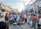 Bajpur: भाजयुमो ने फूँका तमिलनाडु के नेता उदय निधि स्टालिन का पुतला।  