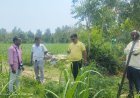 Sitapur : गन्ना सर्वे का औचक निरीक्षण, किसानों को बताए गए फसल बचाने के तरीके