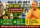 Lucknow: गोमाता से खेती में ‘जीन क्रांति’ की तैयारी, IIT कानपुर की खोज से बदलेगी कृषि की तस्वीर।