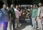 Bajpur : वन विभाग की बड़ी कार्रवाई, लाखों रुपये की खैर की लकड़ी से भरी गाड़ी जब्त, तस्कर फरार