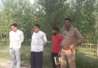 Saharanpur : गागलहेड़ी में चोरों के हौसले बुलंद, किसानों के खेतों से काटे 11 पॉपुलर के पेड़