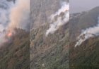 Mussoorie : मसूरी के कैमल्स बैक रोड के जंगलों में लगी भीषण आग, वन विभाग ने संभाला मोर्चा