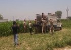 Sambhal: चरी के खेत में नग्न हालत में मिला युवक का जला शव, शनिवार से लापता था फुरकान। 