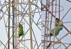 प्रेमी से शादी की जिद पर अड़ी युवती हाई-वोल्टेज ड्रामे के बाद मोबाइल टावर से उतरी, राजगढ़ में मंचा हड़कंप।