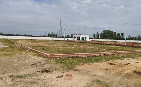 Hapur: गढ़मुक्तेश्वर में अवैध कॉलोनियों का जाल: भूमाफिया सक्रिय, प्रशासन पर उठे सवाल। 