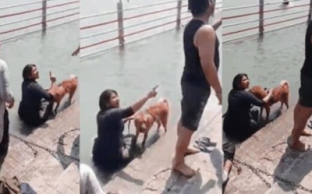 हरिद्वार के सर्वानंद घाट पर पालतू कुत्ते को गंगा स्नान कराने पर भारी विवाद: आस्था और मर्यादा पर छिड़ी तीखी बहस।