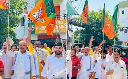 Hardoi: पश्चिम बंगाल समेत तीन राज्यों में जीत पर हरदोई में जश्न, भाजपा जिलाध्यक्ष बोले— ‘विकसित भारत’ के संकल्प की जीत। 