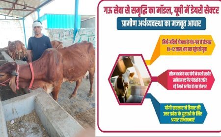 Lucknow: मिनी नंदिनी योजना का कमाल: गांवों में बैठकर युवा कमा रहे 10–12 लाख सालाना।