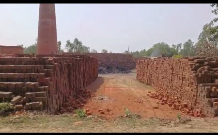 Hardoi : हरदोई में ईंट भट्टे के गहरे गड्ढे में डूबने से सगे भाई-बहन की मौत