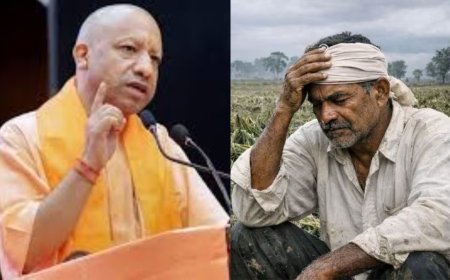 Lucknow : फसल और पशुधन नुकसान पर किसानों के साथ खड़ी योगी सरकार, आपदा में मौत पर 4 लाख की तत्काल आर्थिक सहायता देने का निर्देश
