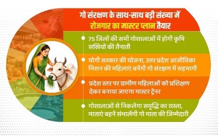 Lucknow: गो संरक्षण से रोजगार तक योगी सरकार का बड़ा प्लान, 75 जिलों की गोशालाओं में तैनात होंगी कृषि सखियां।