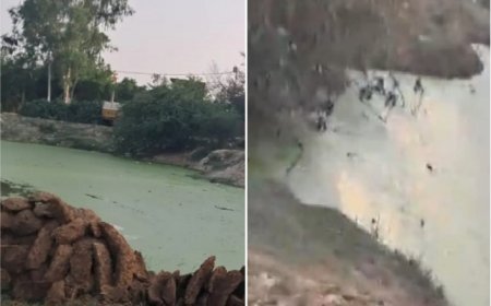 Hardoi: तालाब पर अवैध कब्जाः मुख्यमंत्री से शिकायत, तहसीलदार ने कार्रवाई का दिया आश्वासन।  