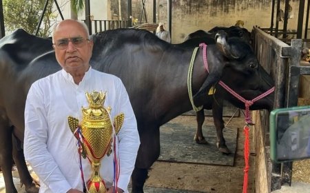 सहारनपुर की 'गार्गी' भैंस ने रचा नया कीर्तिमान, प्रतिदिन रिकॉर्ड 23.375 लीटर दूध देकर पूरे उत्तर प्रदेश में पाया पहला स्थान।