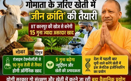 Lucknow: गोमाता से खेती में ‘जीन क्रांति’ की तैयारी, IIT कानपुर की खोज से बदलेगी कृषि की तस्वीर।