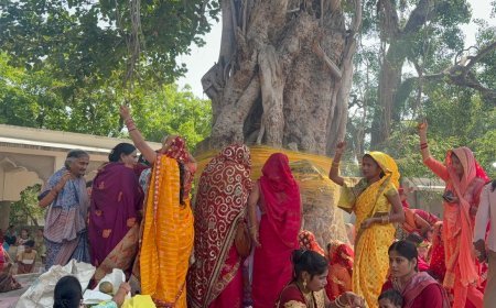 Hardoi: वट सावित्री व्रत पर आस्था का सैलाब, सुहागिनों ने बरगद की पूजा कर मांगा अखंड सौभाग्य। 