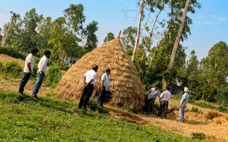 Bajpur: दबंगों ने कहा तुम्हें मार कर इस भूमि में दफना देंगे ,बहादुरगंज में विवादित भूमि की जांच करने पहुंची चकबंदी टीम। 