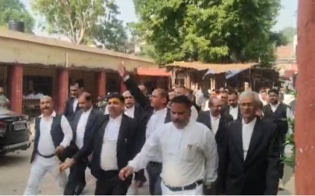Ballia : लखनऊ में वकीलों पर लाठीचार्ज और चैंबर तोड़े जाने के खिलाफ बलिया के अधिवक्ताओं ने किया प्रदर्शन, प्रशासन को सौंपा ज्ञापन