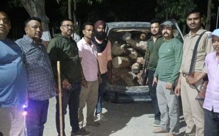 Bajpur : वन विभाग की बड़ी कार्रवाई, लाखों रुपये की खैर की लकड़ी से भरी गाड़ी जब्त, तस्कर फरार