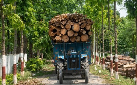 Bajpur: दबंगों ने लकड़ी से भरी ट्रैक्टर ट्राली ड्राइवर से लुट कर ले गए साथ में नग़दी भी। 