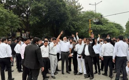 उच्च न्यायालय ने बार एसोसिएशनों को जारी की सख्त चेतावनी, कहा- हड़ताल के कारण आम जनता के अधिकारों का न हो हनन।