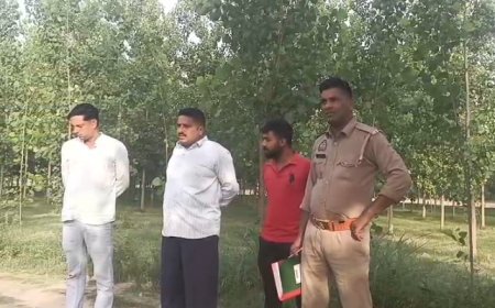 Saharanpur : गागलहेड़ी में चोरों के हौसले बुलंद, किसानों के खेतों से काटे 11 पॉपुलर के पेड़