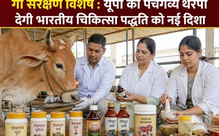 गो संरक्षण विशेष : यूपी की पंचगव्य थेरेपी देगी भारतीय चिकित्सा पद्धति को नई दिशा।