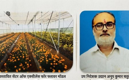 Ayodhya : अयोध्या में बनेगा प्रदेश का पहला 'सेंटर ऑफ एक्सीलेंस फॉर फ्लावर', दो करोड़ की लागत से फूलों की खेती का हब बनेगा पिरखौली क्षेत्र