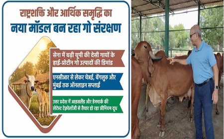 Lucknow: देसी गायों से बदल रही यूपी की तस्वीर: सेना से महानगरों तक बढ़ी हाई प्रोटीन गो उत्पादों की डिमांड।