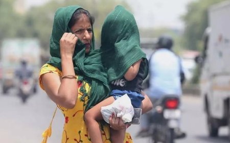 Pratapgarh : भीषण गर्मी और लू को देखते हुए जनगणना का काम रोकने की मांग, शिक्षक संगठन ने मुख्यमंत्री को भेजा पत्र