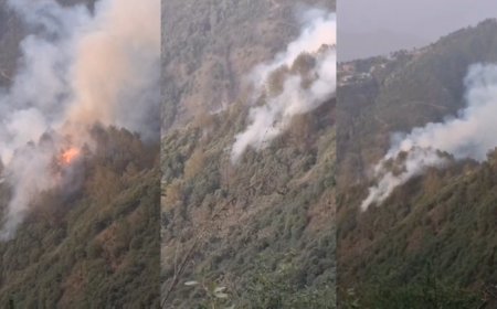 Mussoorie : मसूरी के कैमल्स बैक रोड के जंगलों में लगी भीषण आग, वन विभाग ने संभाला मोर्चा