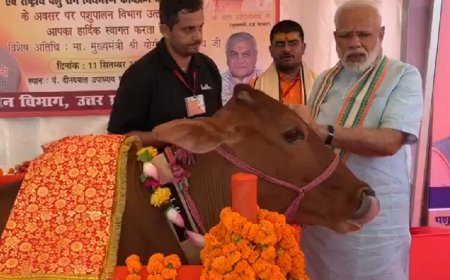 Lucknow : गो संरक्षण विशेष : यूके, यूएसए, ऑस्ट्रेलिया समेत 10 से अधिक देशों में बजा यूपी का डंका