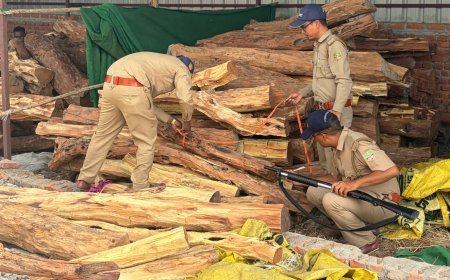 Bajpur : गोदाम में छापा मारकर वन विभाग ने बरामद की सौ कुंतल अवैध खैर की लकड़ी, वाहन सहित माल जब्त
