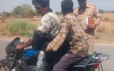 देवी मान्यता के लिए छोड़े गए बकरे की चोरी, वीडियो वायरल: हरदोई में दो युवकों को ग्रामीणों ने पकड़ा, पुलिस ने हिरासत में लिया। 