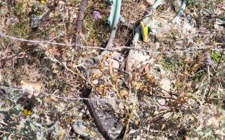 Sitapur : बिजली की केबल जलने से गांव में छाया अंधेरा, त्योहार के समय बिजली संकट से ग्रामीण बेहद परेशान