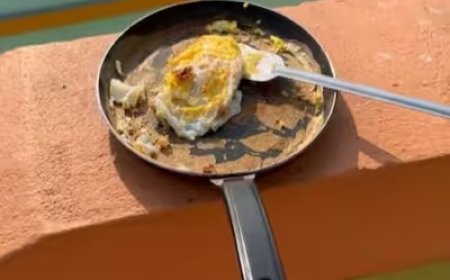 भीषण गर्मी का अतरंगी कारनामा: गैस चूल्हे के बिना कड़कड़ाती धूप में शख्स ने तवे पर बना डाला ऑमलेट