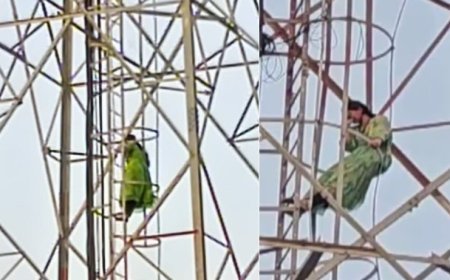 प्रेमी से शादी की जिद पर अड़ी युवती हाई-वोल्टेज ड्रामे के बाद मोबाइल टावर से उतरी, राजगढ़ में मंचा हड़कंप।