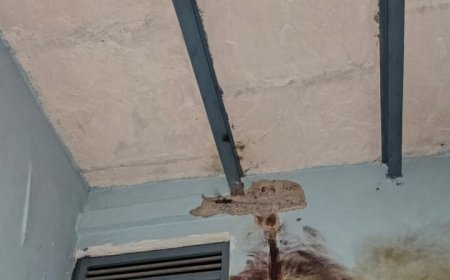 Hathras : आंधी-बारिश के साथ गिरी आकाशीय बिजली, मकान की छत और दीवारें फटीं, भारी नुकसान