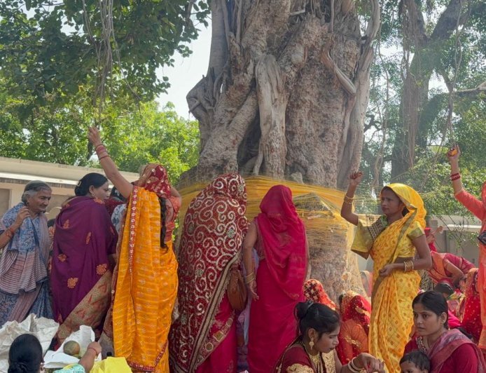 Hardoi: वट सावित्री व्रत पर आस्था का सैलाब, सुहागिनों ने बरगद की पूजा कर मांगा अखंड सौभाग्य। 