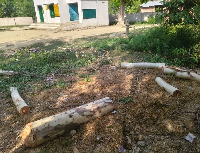 Sitapur: सरकारी भूमि पर लगे पेड़ काटने का आरोप, लेखपाल ने दी तहरीर। 
